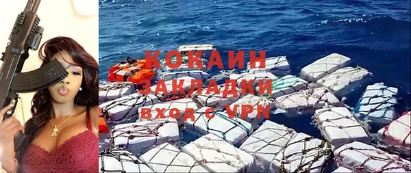 СК Алексин