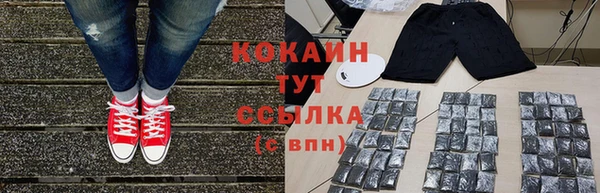 СК Алексин
