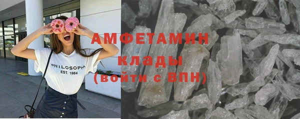 СК Алексин