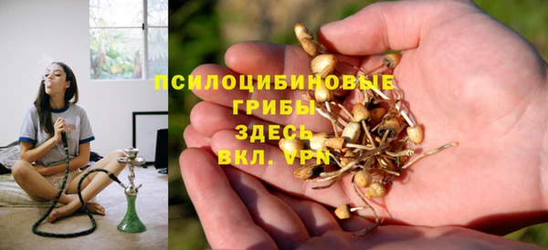 СК Алексин