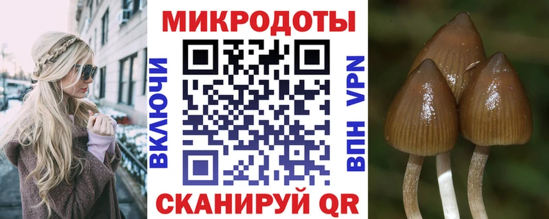 blacksprut ссылка  Солнечногорск  Галлюциногенные грибы ЛСД 