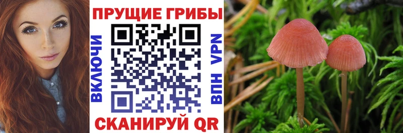 Псилоцибиновые грибы MAGIC MUSHROOMS Солнечногорск